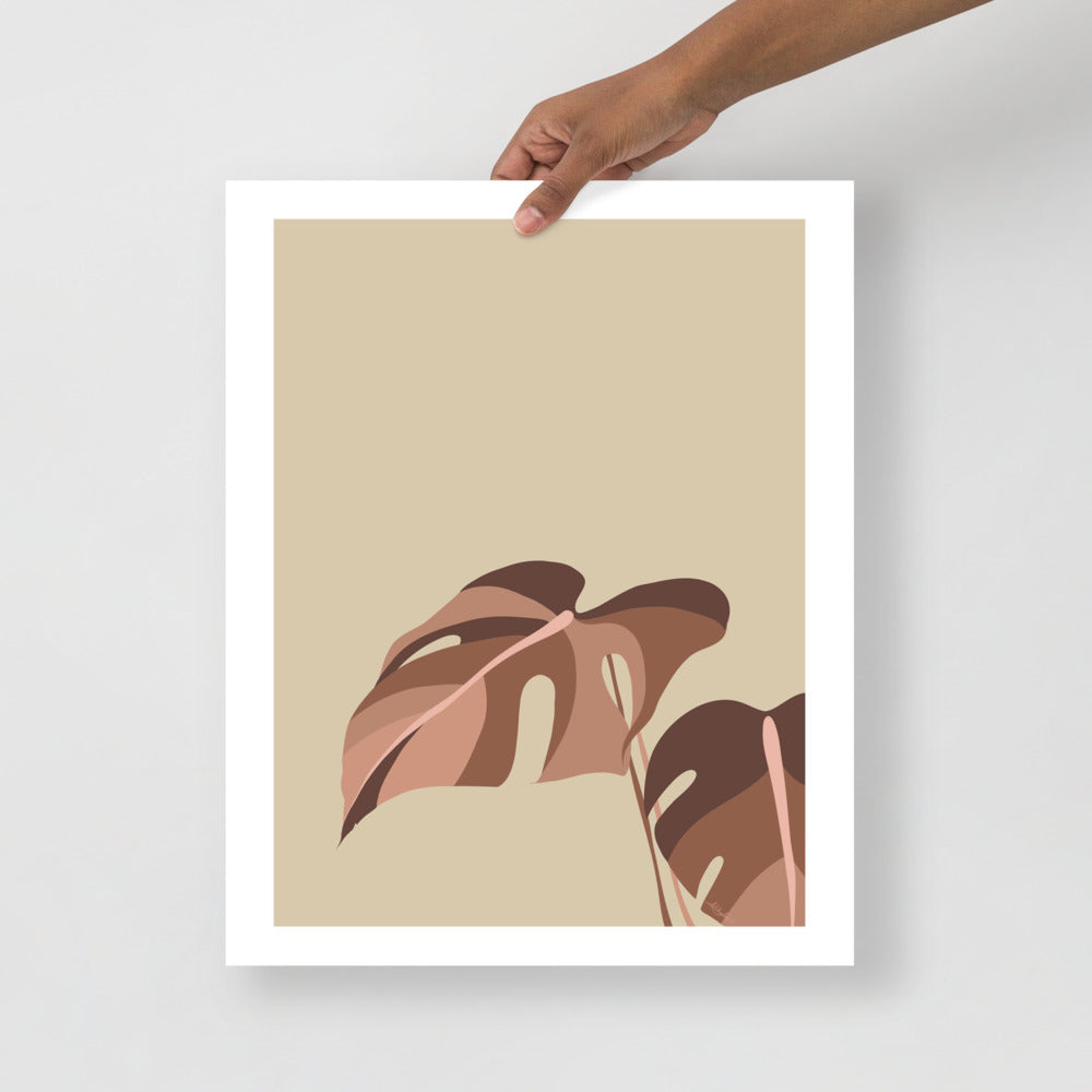 Monstera