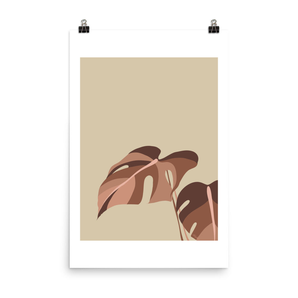Monstera