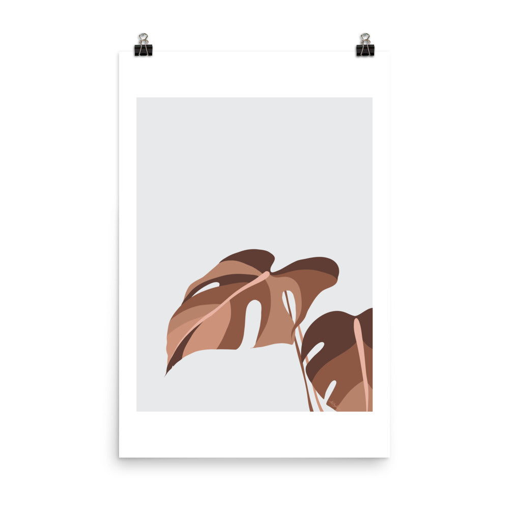 Monstera - Stone