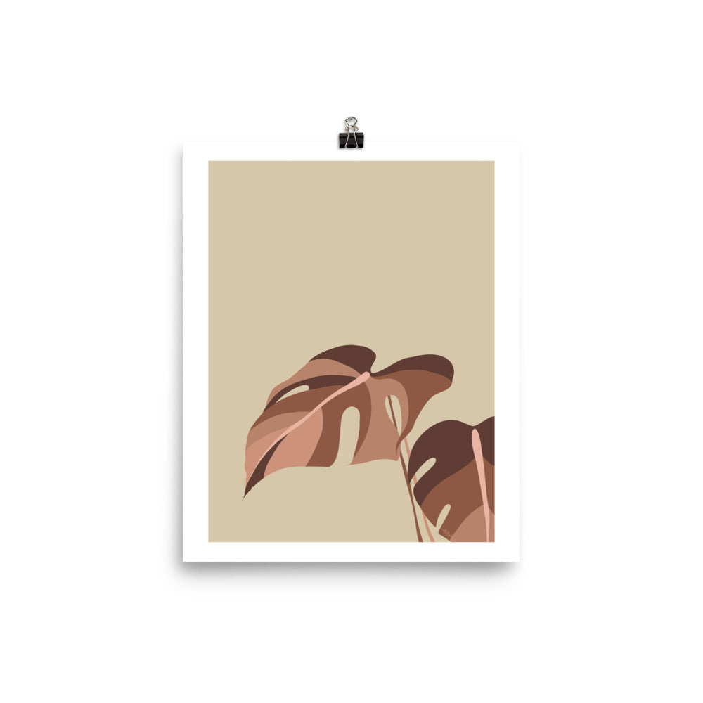 Monstera
