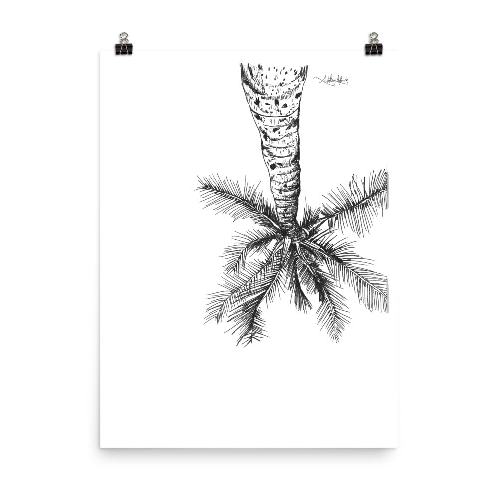 Palm Tree
